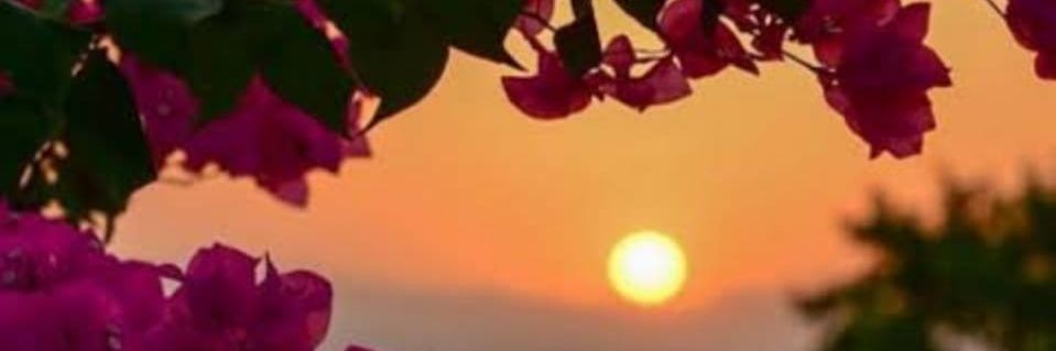 Sarah ⛳️🏌️‍♀️ banner