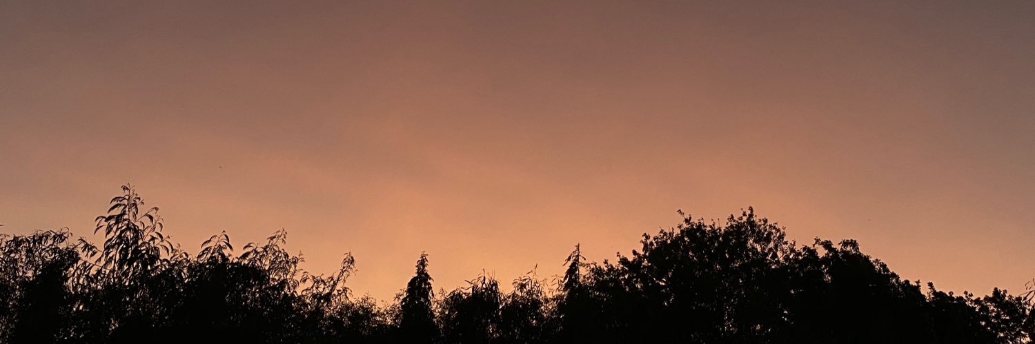 lmjitis's profile banner image