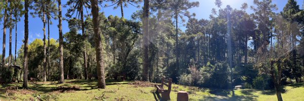 patriciadona Profile Banner