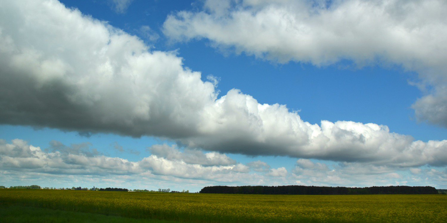 chiwefwe's profile banner image
