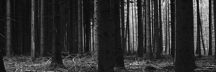 mcb2592's profile banner image