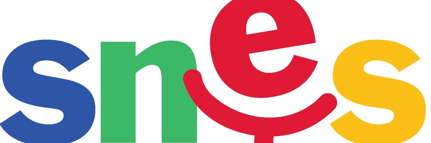 SNES-FSU CRETEIL banner