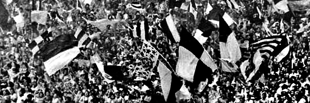 ntefida's profile banner image