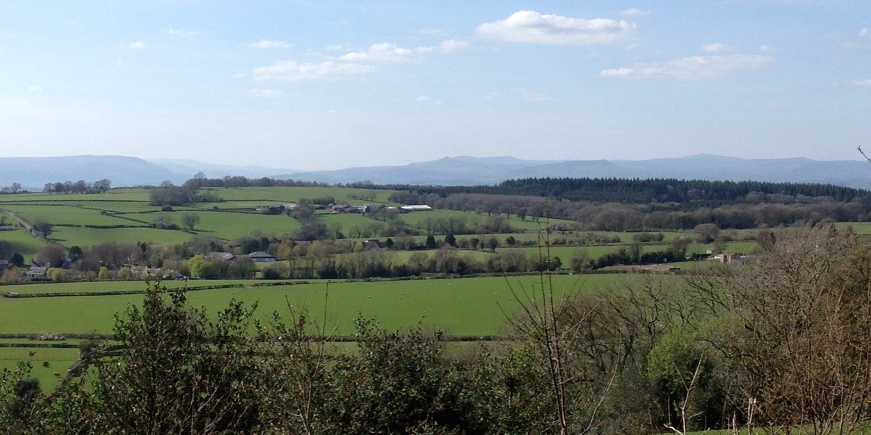 monwalksfest's profile banner image