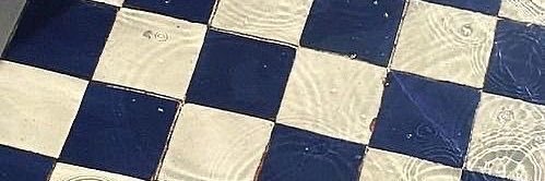 *flu banner