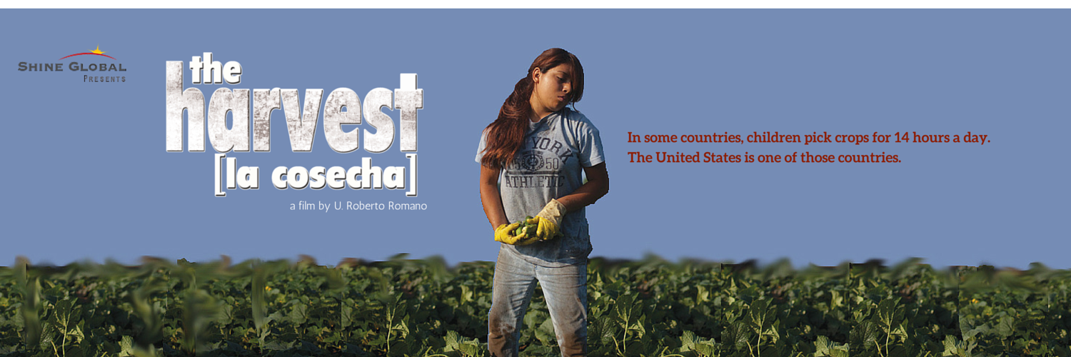 theharvestdoc's profile banner image