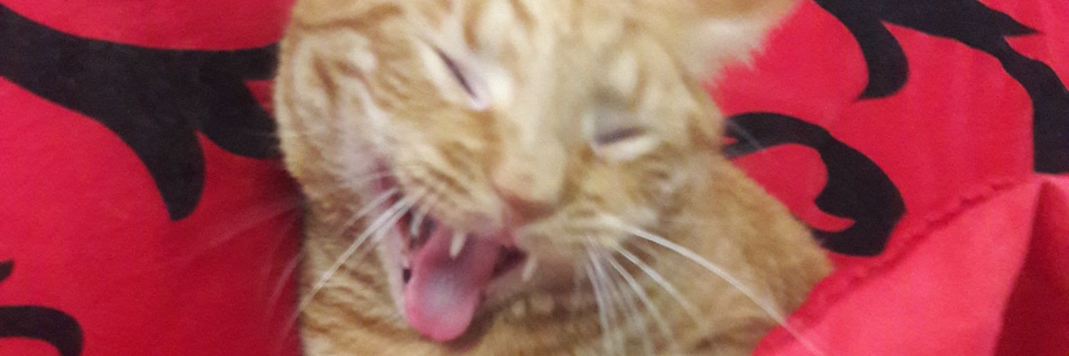 khzoom413's profile banner image