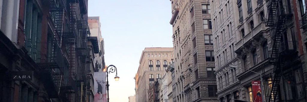 vitgesualdi's profile banner image