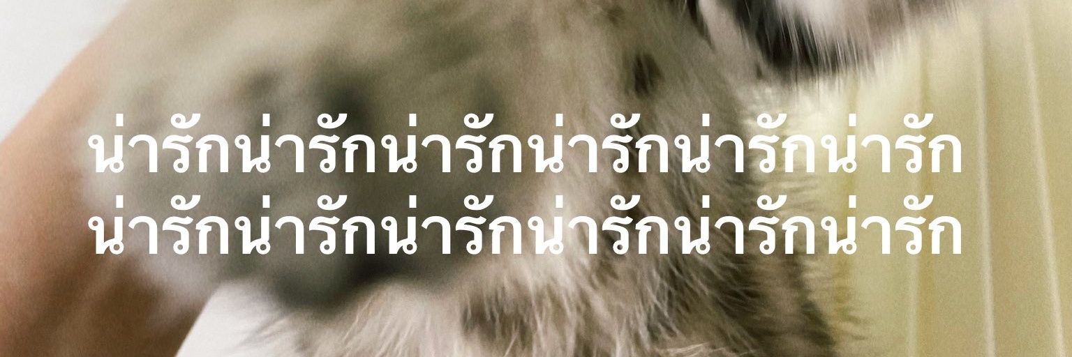 biscuitboy 🎀 banner