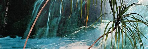 Ella_McCartney's profile banner image