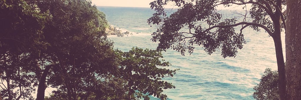 SophieeCalder's profile banner image