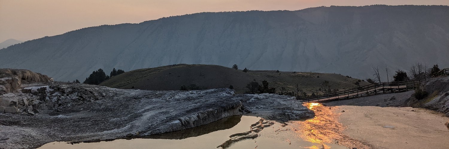 Levi Morrison banner