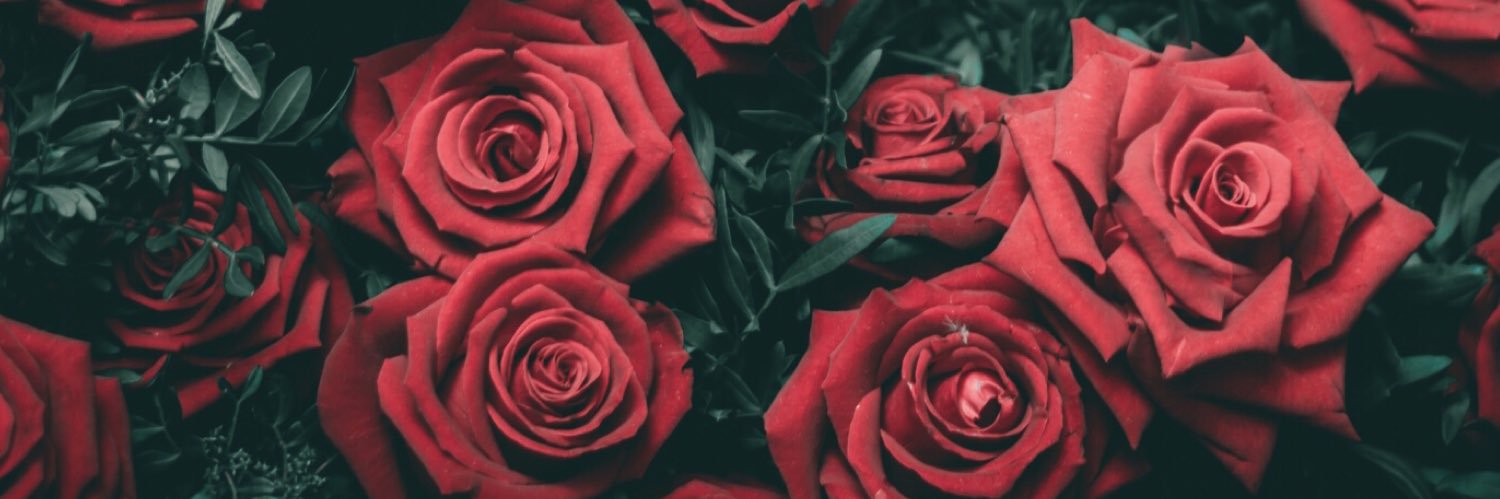 🖤🖤🖤🖤 banner