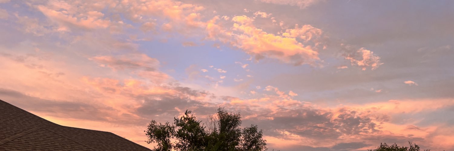 sofiee_bee's profile banner image