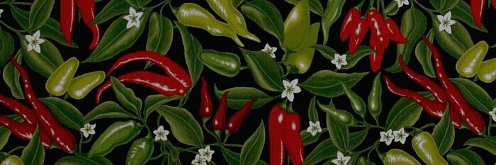 LASalsaCo's profile banner image