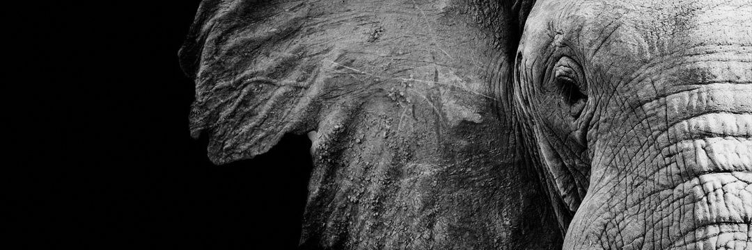 Pradipk28's profile banner image