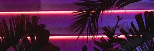 anacarmen2000's profile banner image