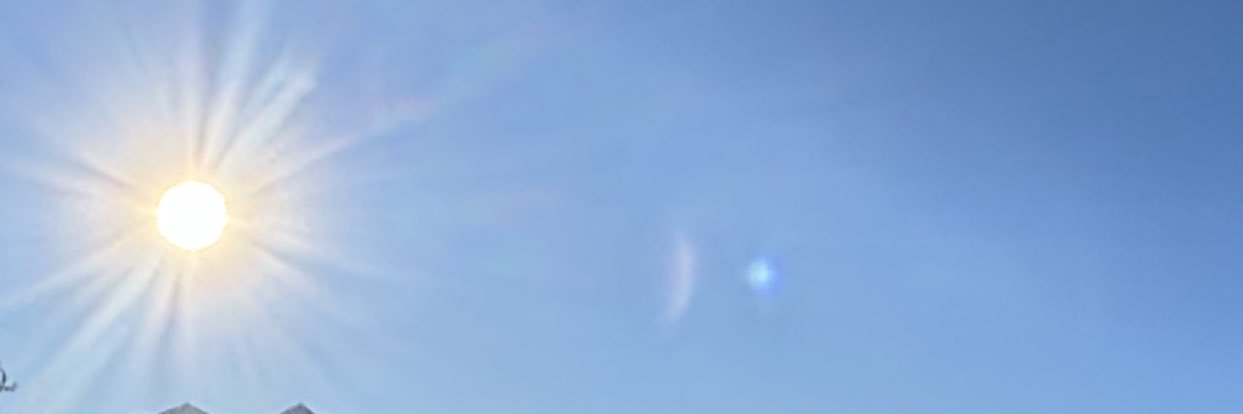 roniastephan's profile banner image