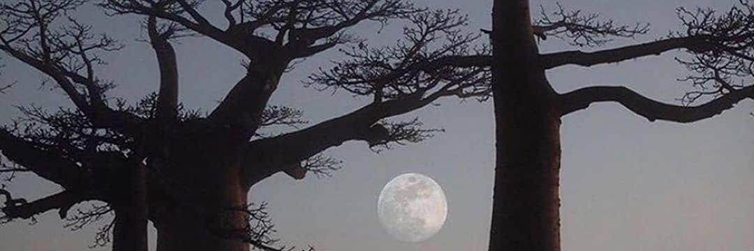 Joyc9_'s profile banner image