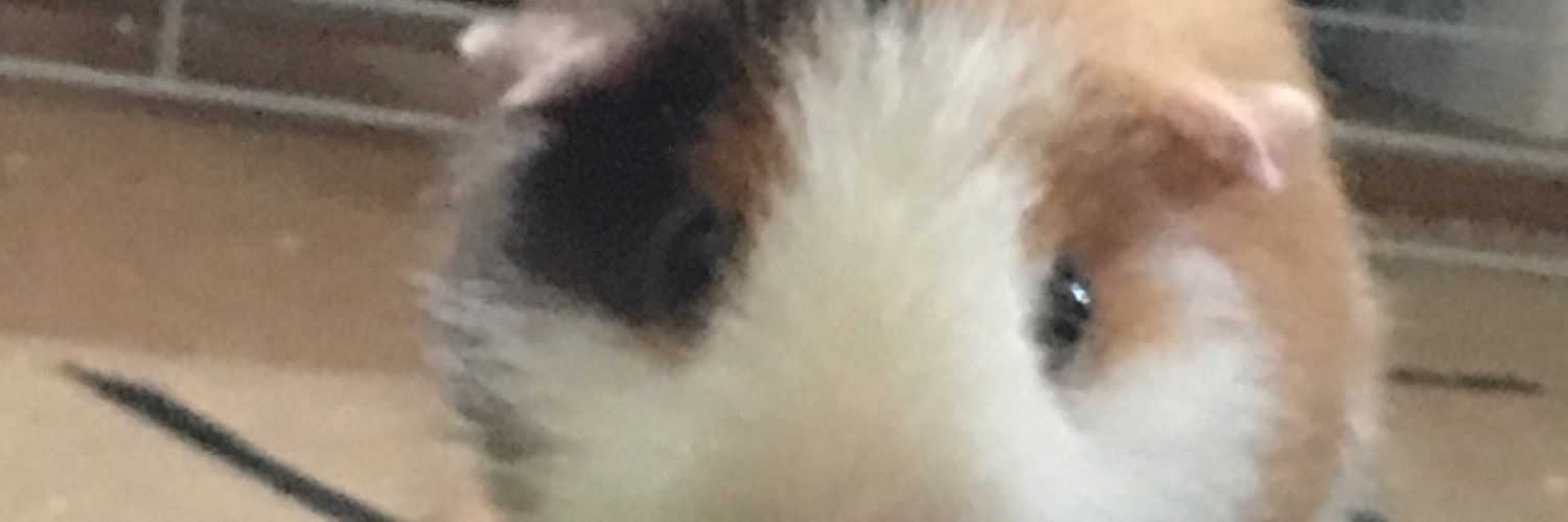 jeddcleaver's profile banner image