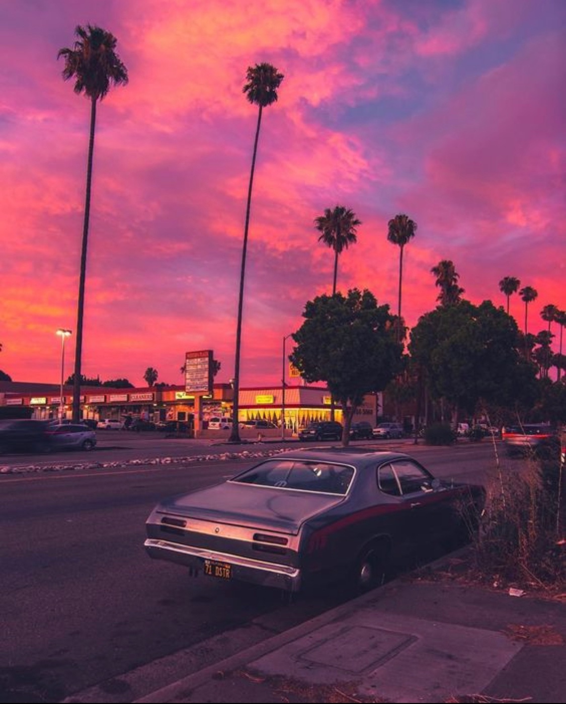 unicornsavibabe's profile banner image