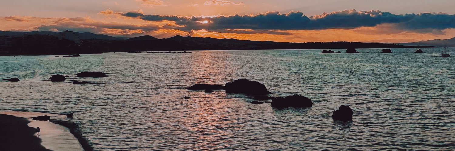 joanassilva8's profile banner image