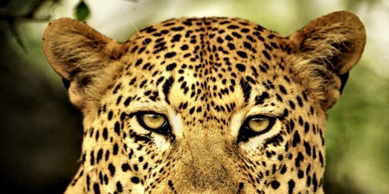 a_sandybeach's profile banner image