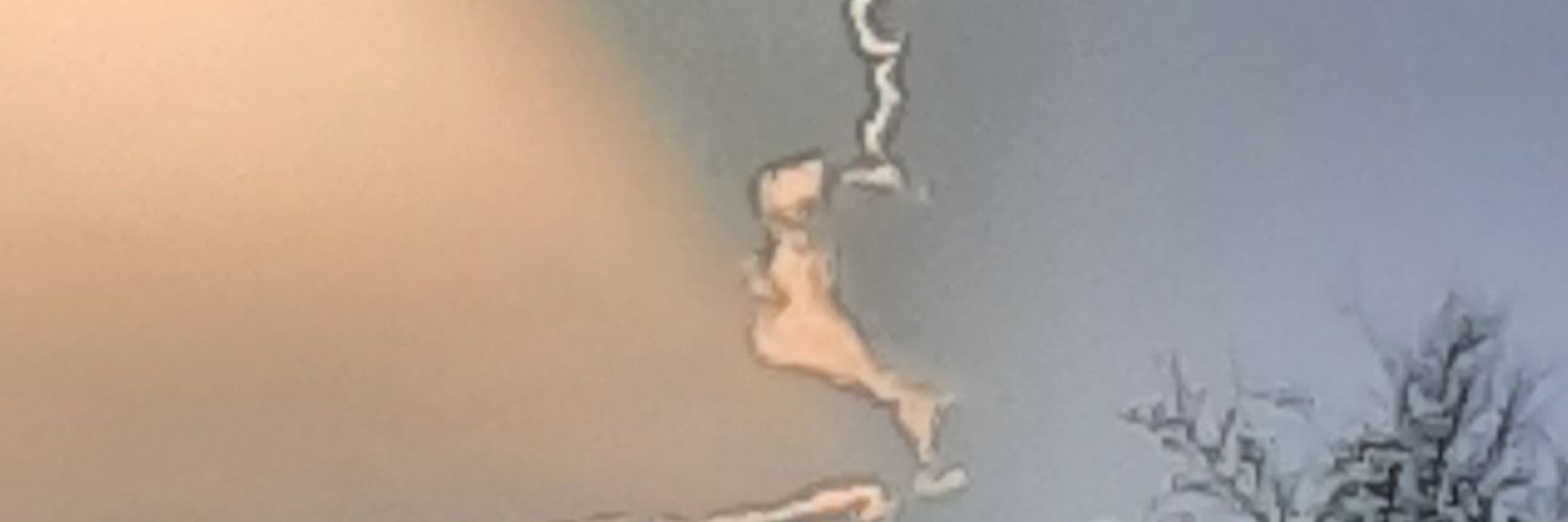 alrandha's profile banner image