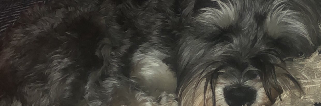ella banner