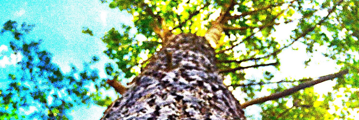 hammerpants75's profile banner image
