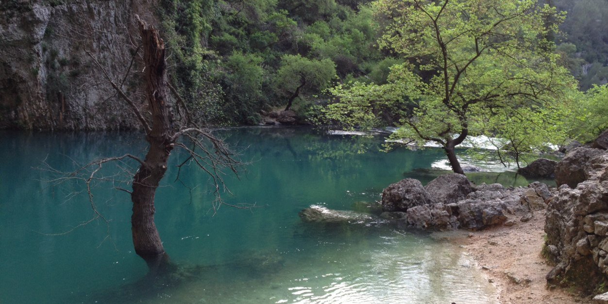 Jeremy Roussel banner