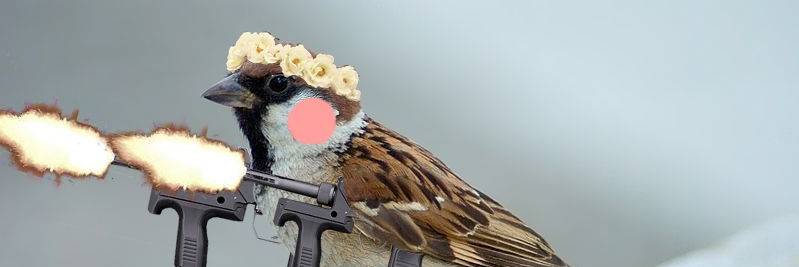 SparroBird's profile banner image