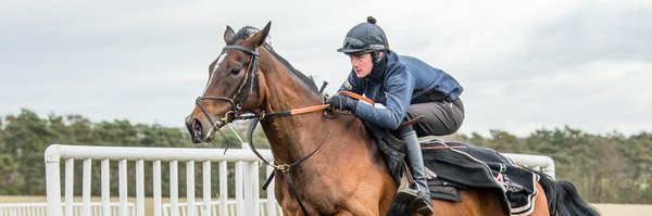 Connor_Fox97 Profile Banner
