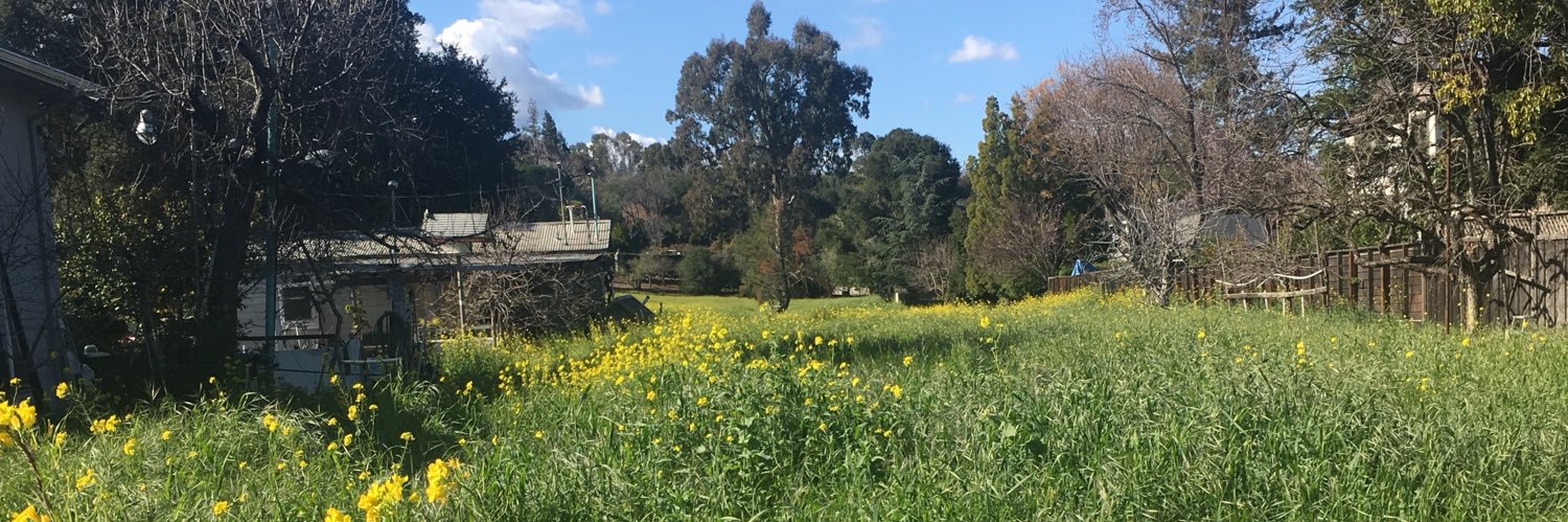 Alexander D'Souza banner