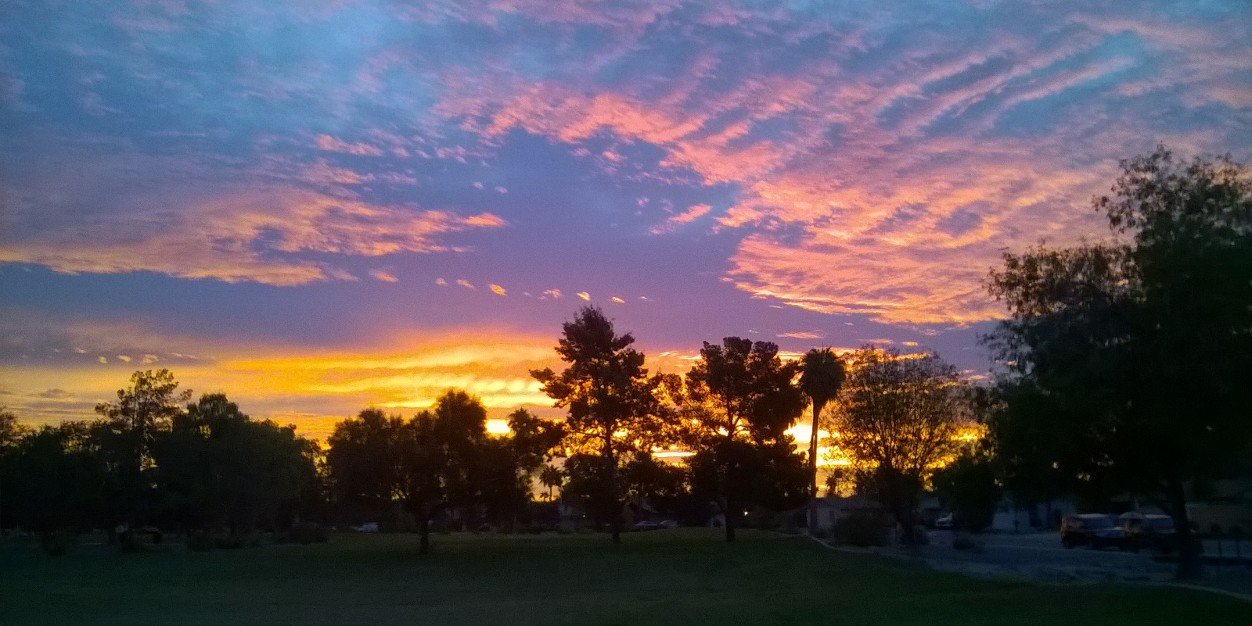 n8tivearizonan's profile banner image