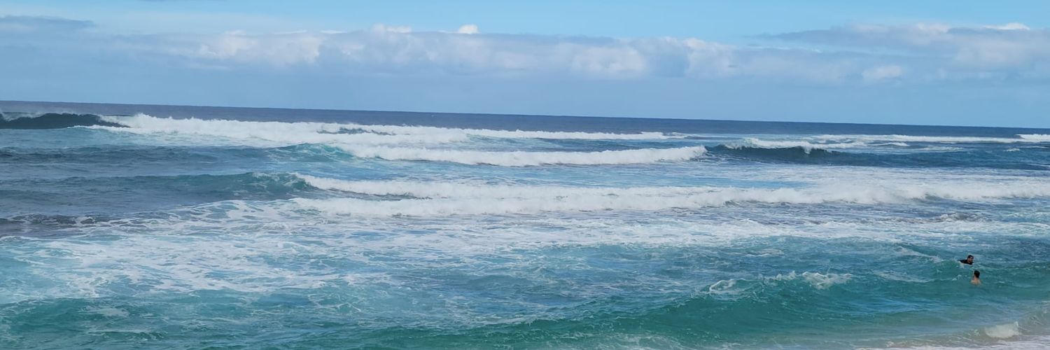 swank88's profile banner image
