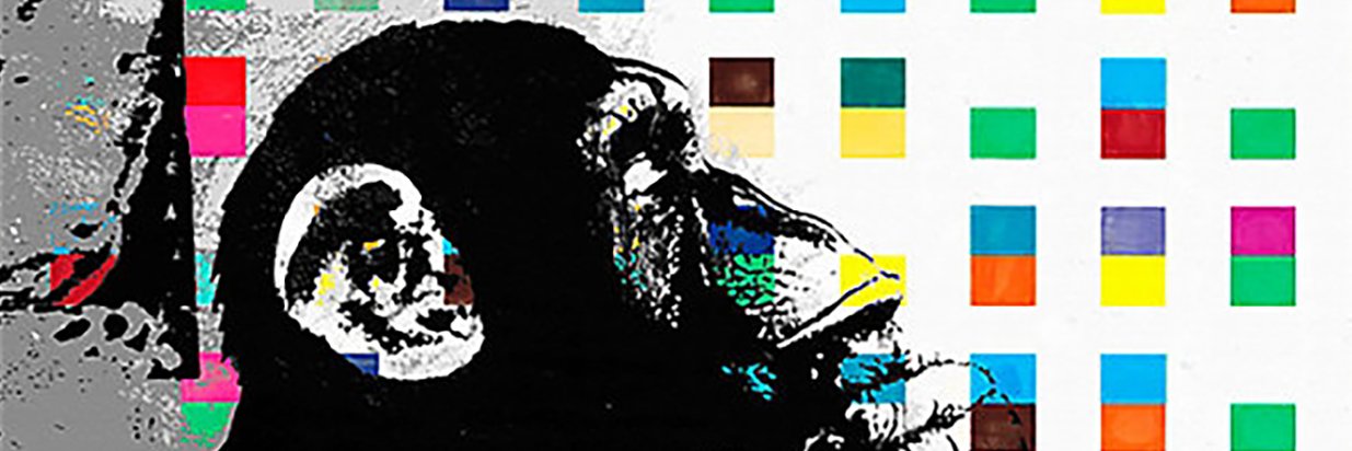 timberaxe's profile banner image