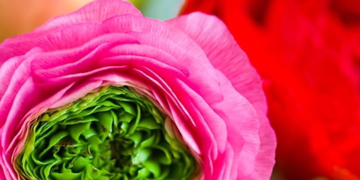 CobiLadner's profile banner image