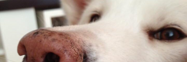 barbaraprisco's profile banner image