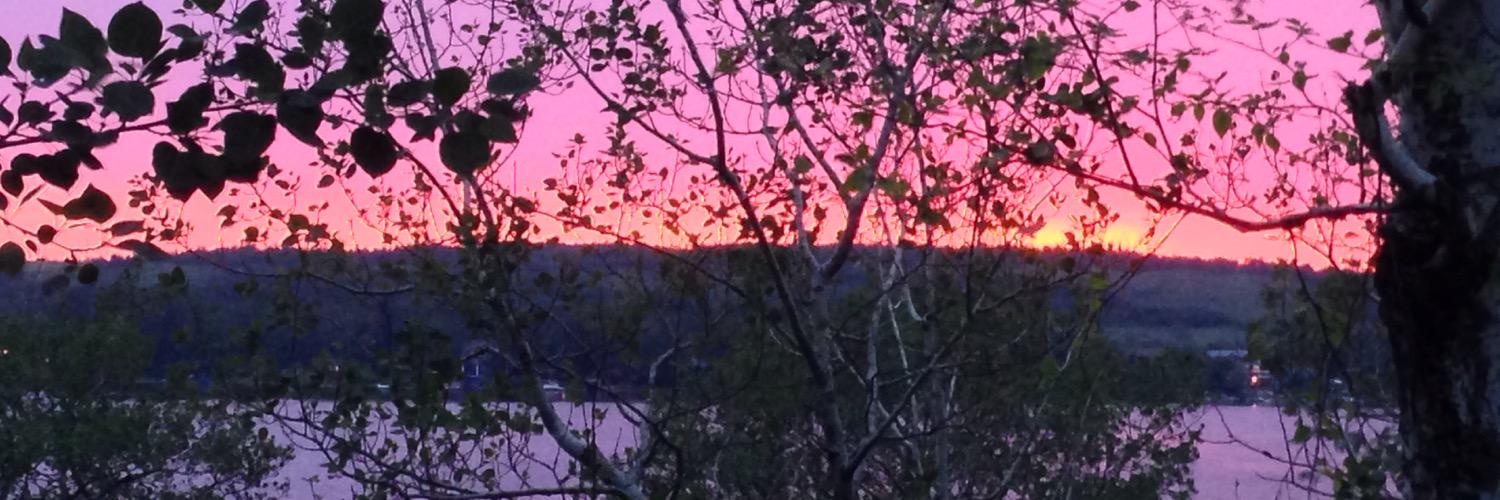 seabass1977's profile banner image