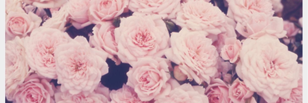 mareeeexo's profile banner image