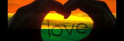 fanny lu banner