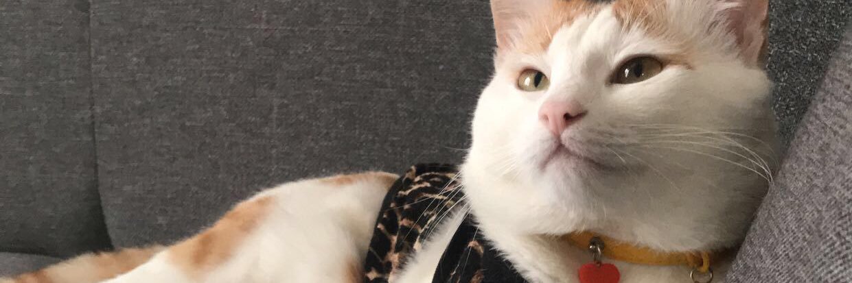busragonenn's profile banner image