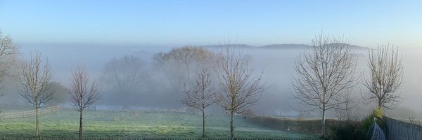 AnnekaHicks Profile Banner