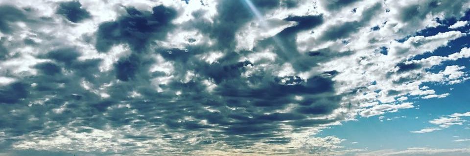 FabiManciini's profile banner image