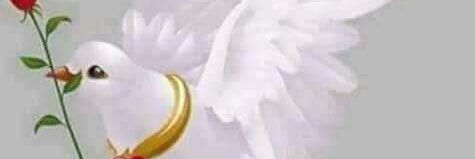 dinowsey's profile banner image