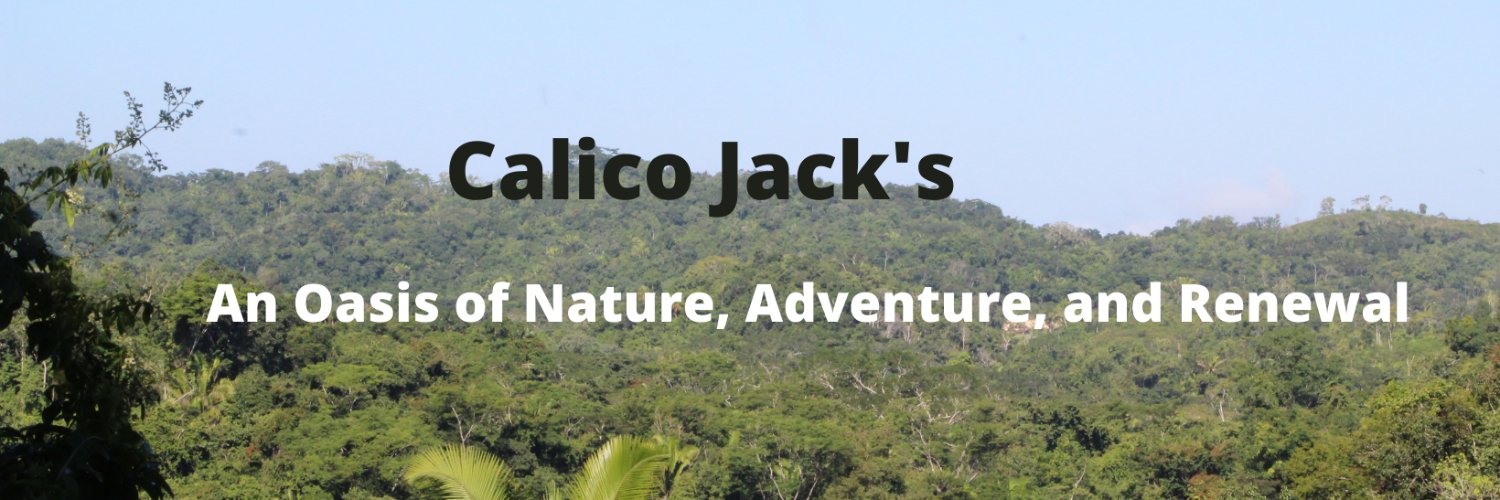 CalicoJacksReso's profile banner image