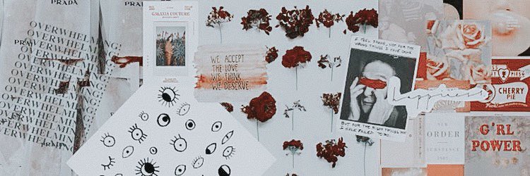 MsRebeccaRitt's profile banner image