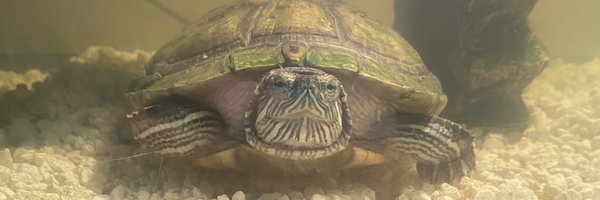 dennya1122 Profile Banner