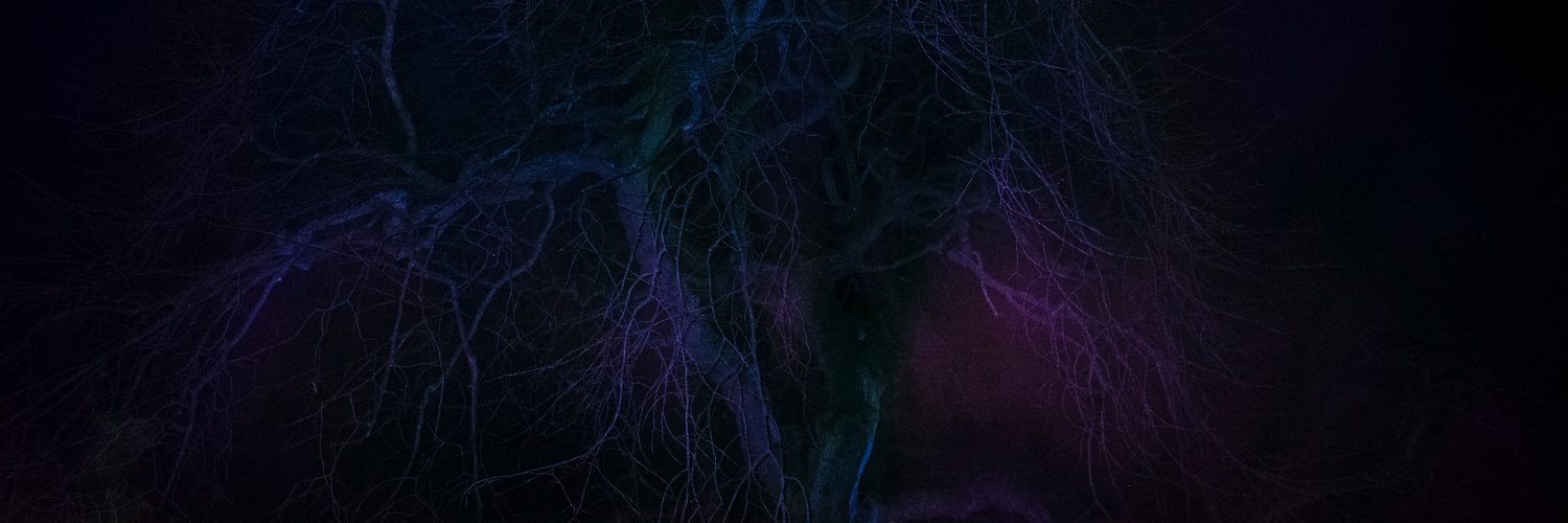 raphaelbenros's profile banner image